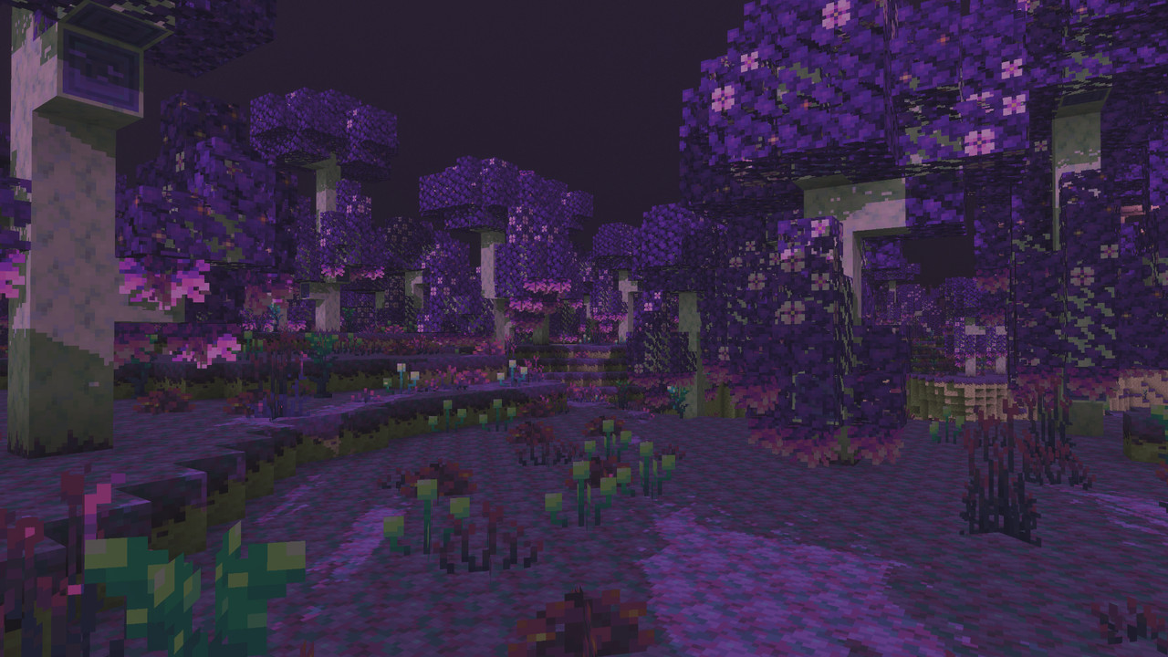 Chorite Forest