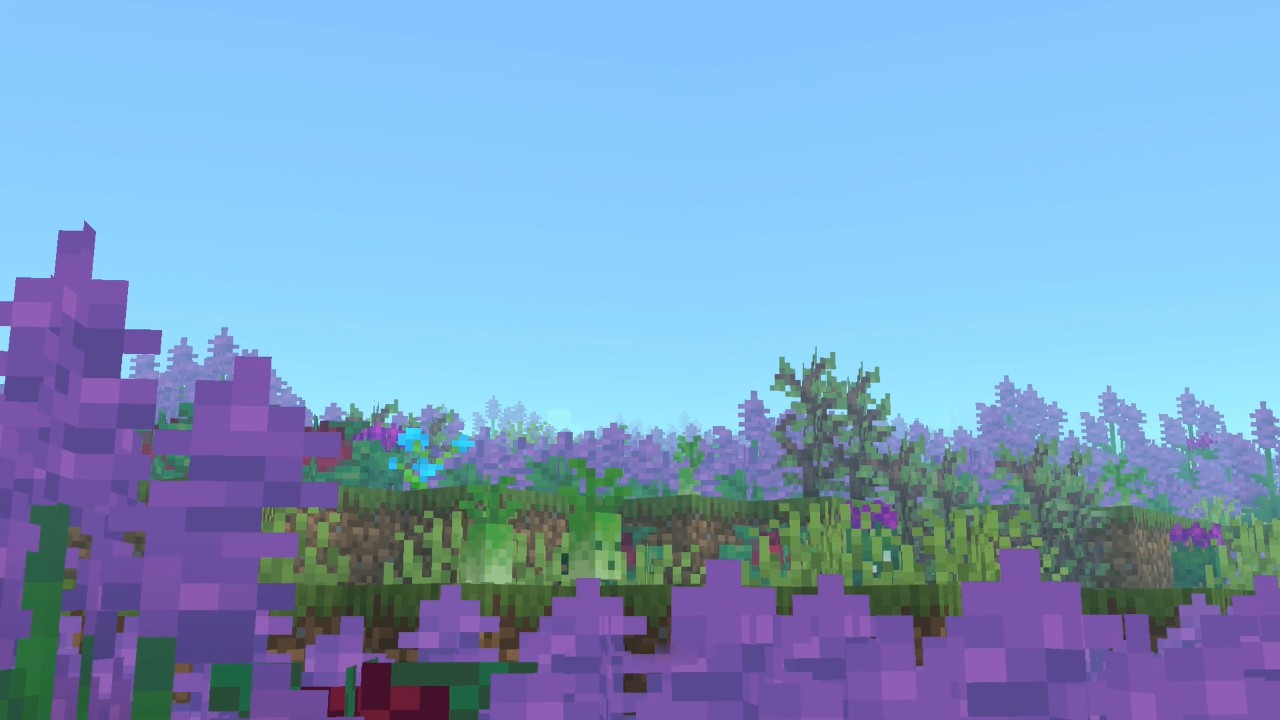 Lavender Fields Screenshot