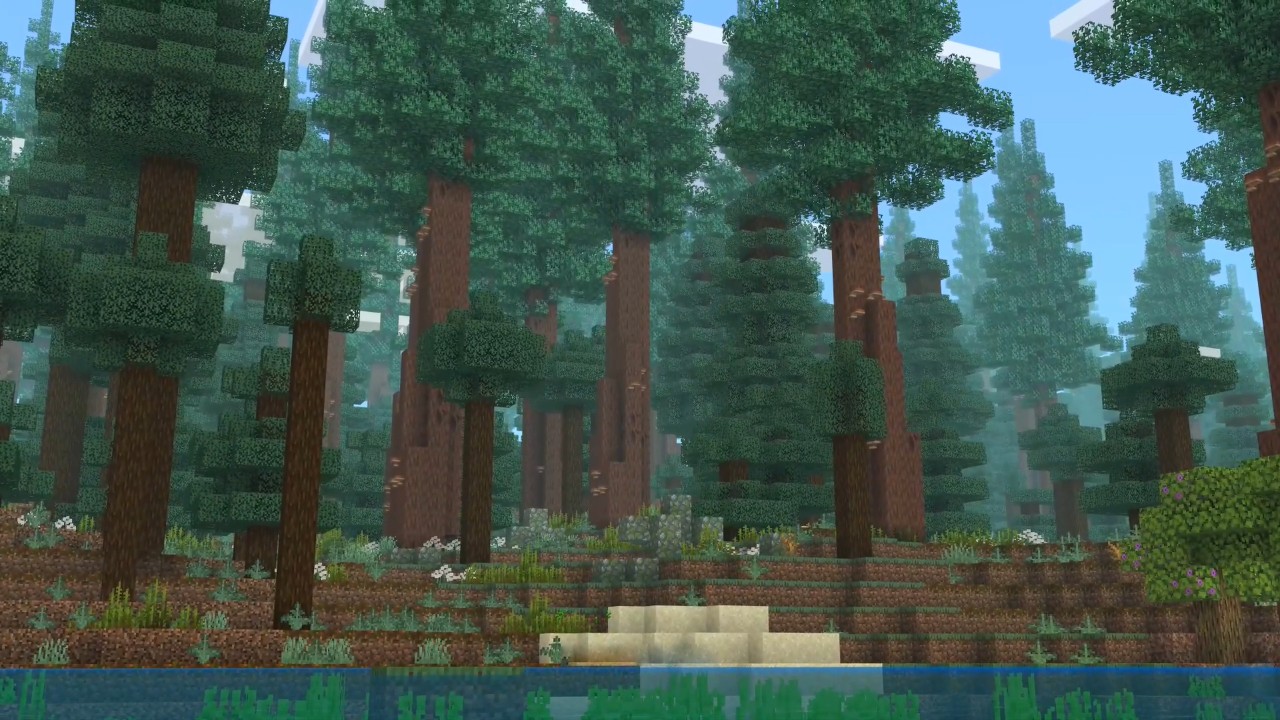 Redwood Forest Screenshot