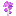 Lunar Tree Sapling
