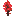 Red Whisper Tree Sapling
