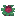 Bloomheart