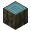 Enchanted Log