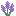 Lavender Flower