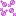 Lunar Lilac Petals