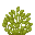 Orange Big Bush