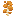 Orange Sapling