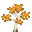 Orange Tree Bush