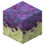 Overgrown Endstone