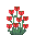 Red Bleeding Heart