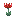 Red Flower