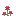 Red Flowers
