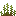 Redwood Grass