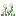 Sky Flower