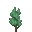 Sky Tree Bush