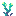 Tall Virelume