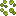 Toxic Fallen Leaves