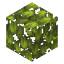 Toxic Leaves