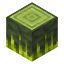 Toxic Bottom Log
