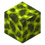 Toxic Magma