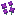 Violets