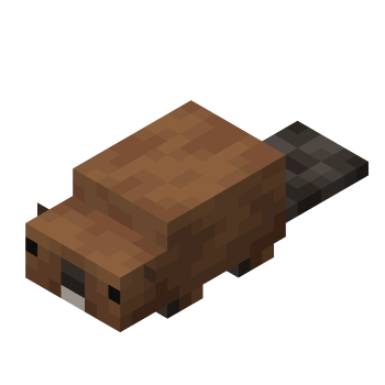Beaver