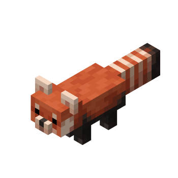 Red Panda