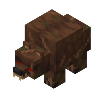 Redwood Bear