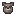 Raccoon