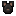 Rat