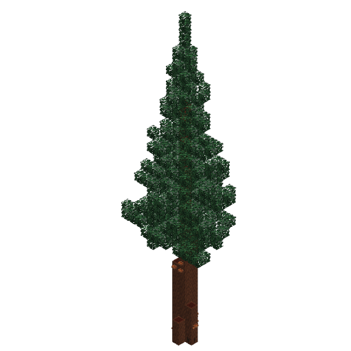 Redwood Tree