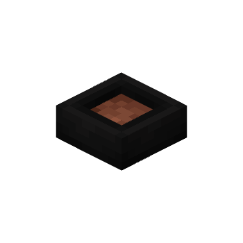 Black Feeding Bowl