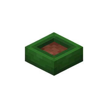 Green Feeding Bowl