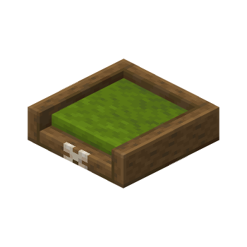 Medium Green Pet Bed