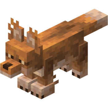 Evolution Nylx