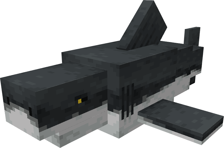 shark.png